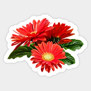 Red Gerbera Daisy Trio Sticker